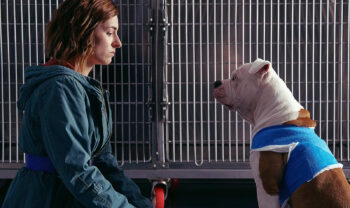 Blanca, polemiche degli animalisi per Linneo il bulldog della fiction