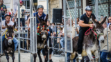 Palio del Casale a Cicciano, torna la corsa degli asini: il programma