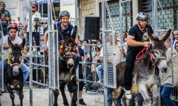 Donkey race in Cicciano