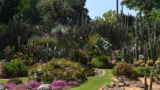 Planta, il giardino e non solo: la mostra mercato all’orto botanico