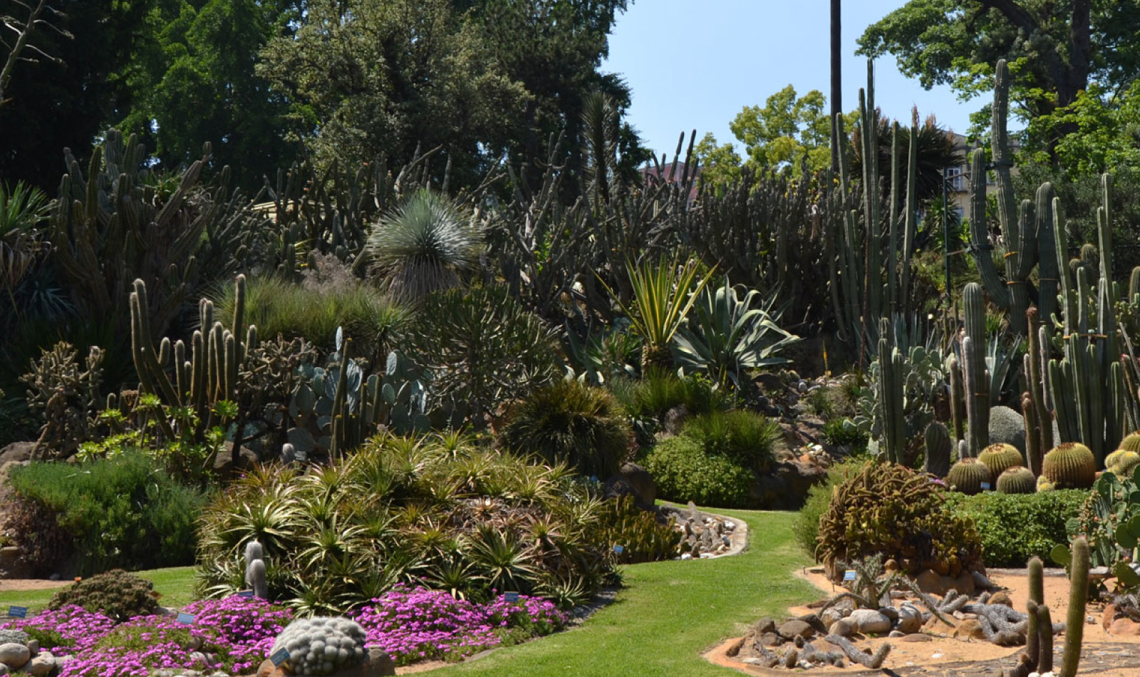 jardin botanique