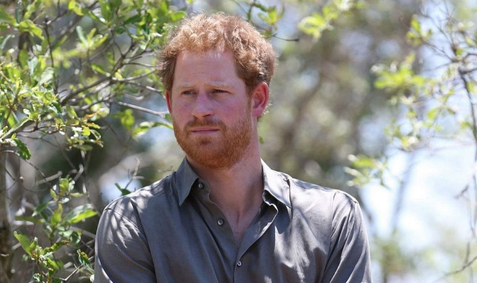 Prince Harry