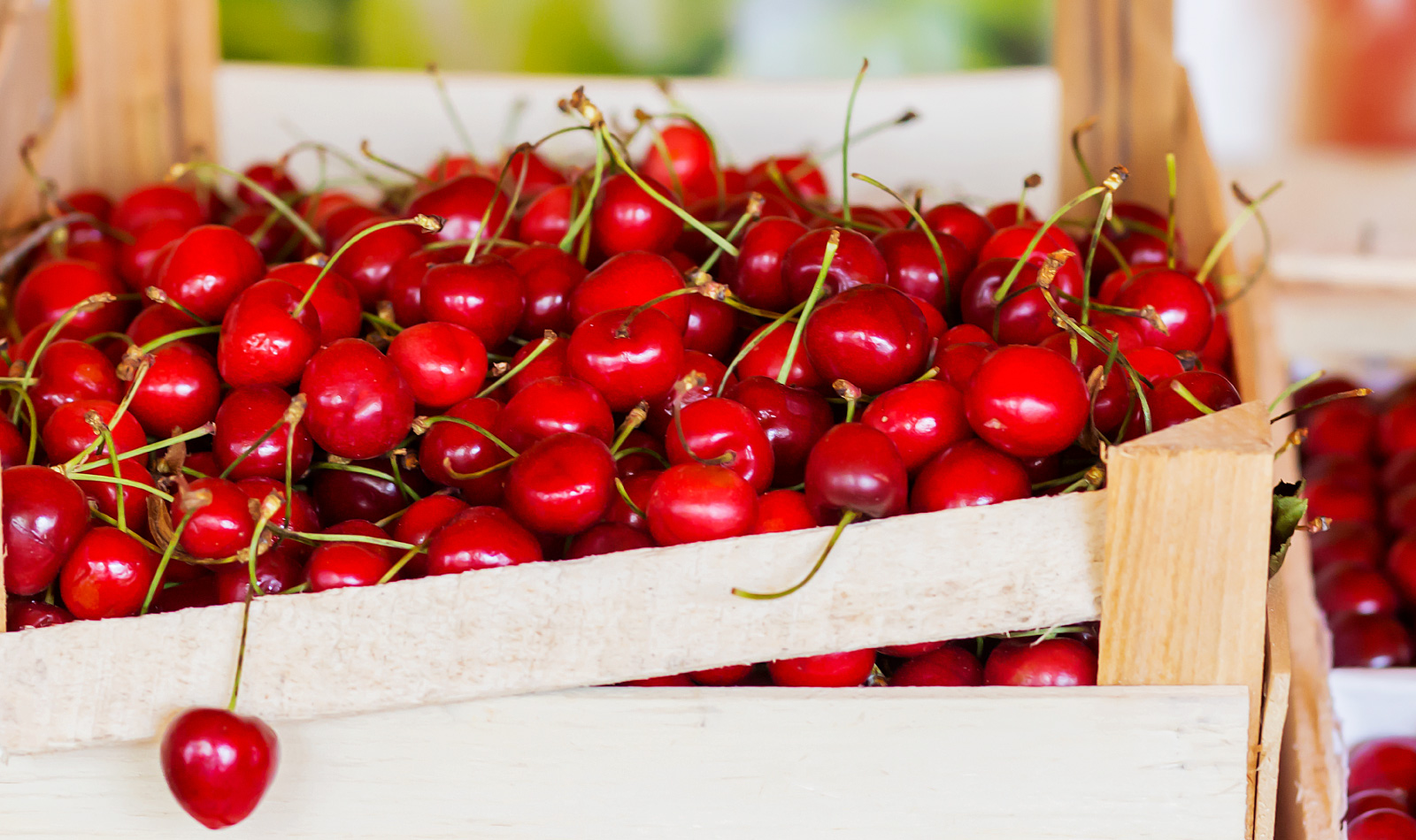 fête des cerises