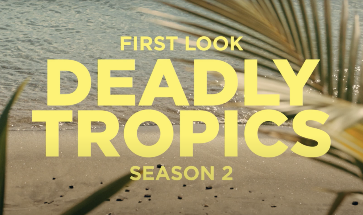 Delitti ai Tropici 2, quando esce, trama, cast e numero episodi