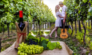 Jazz in vigna, musica e degustazioni nei vigneti dei Campi Flegrei