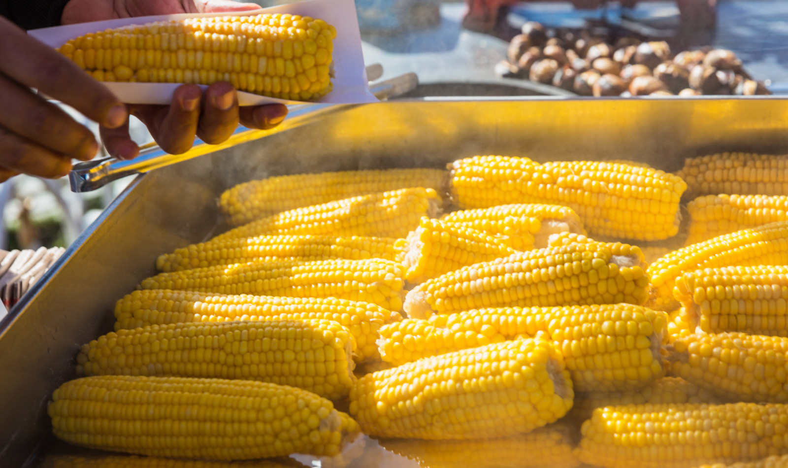 Boiled corn on the cob