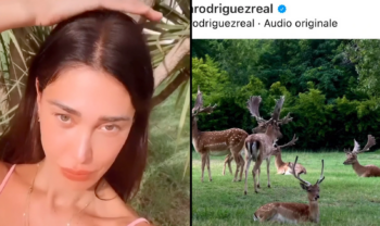 Belen tradita da Stefano De Martino? Lo conferma un post con le corna