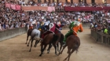 Palio di Siena, è scandalo per due cavalli gravemente infortunati