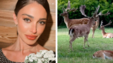 Belen parla del tradimento di Stefano su IG? Emma la supporta