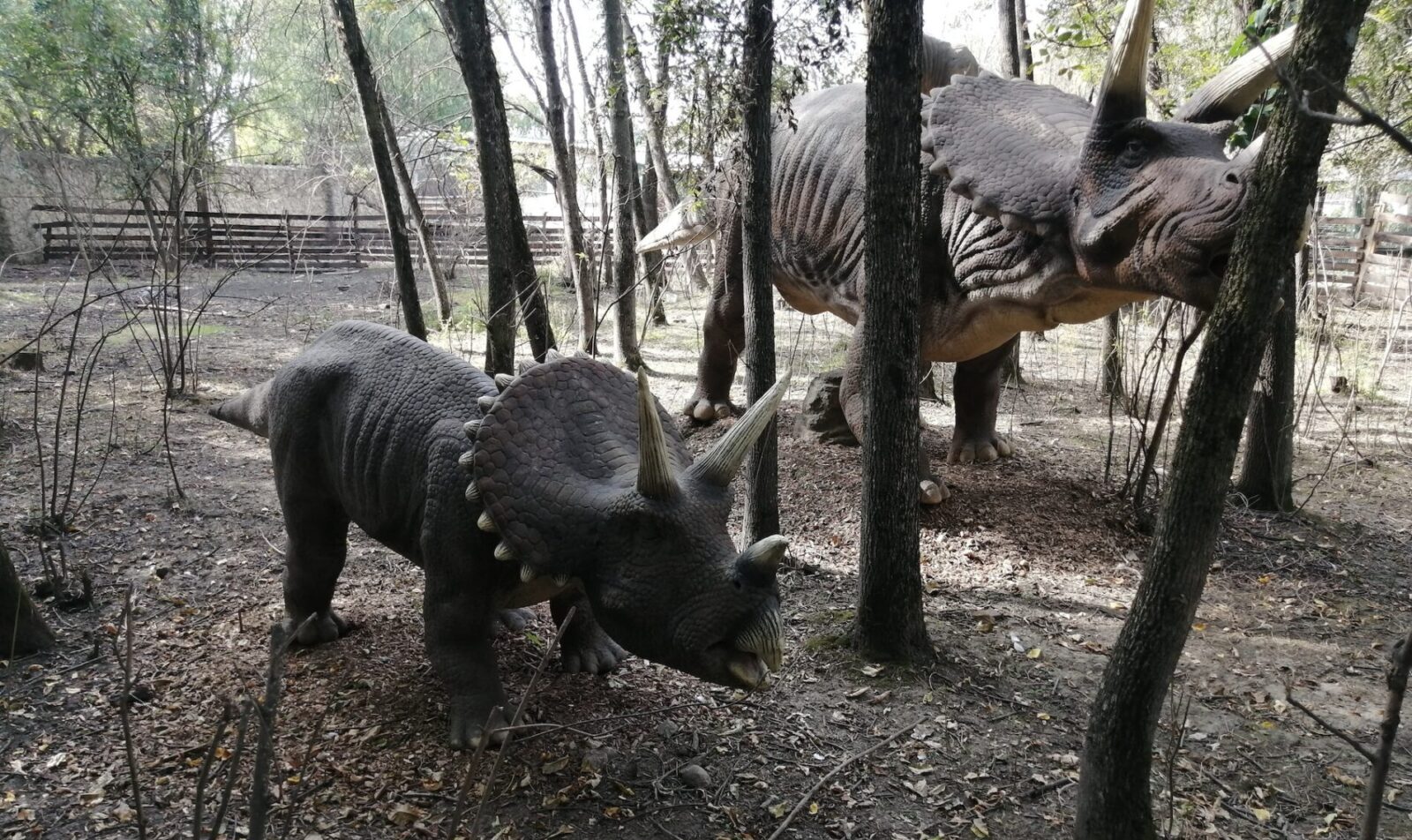 parque infantil de dinosaurios