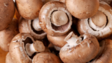 Sagra degli Spaghetti ai Funghi Porcini 2023 a Salza Irpina (AV)
