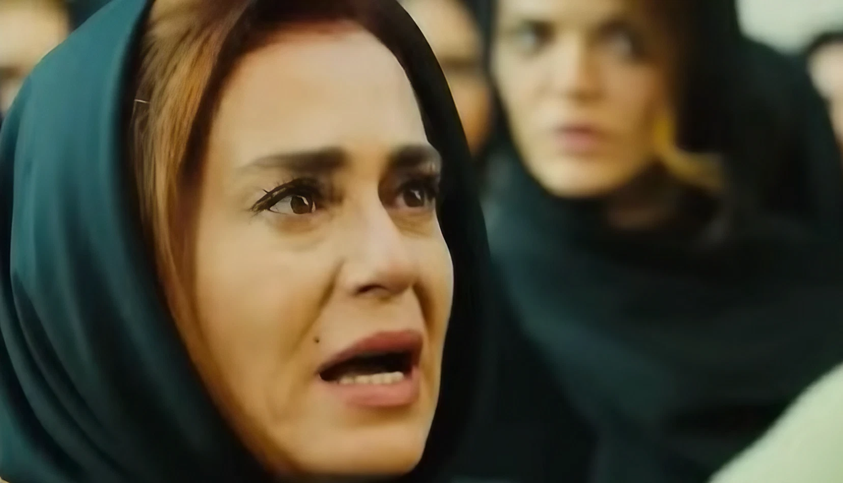 Sevda Terra Amara