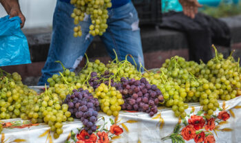 Settembrata Anacaprese 2023, festa dell’uva ad Anacapri con eventi gratis