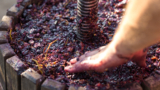 Torna il Festival Aglianico 2023 con visite, degustazioni ed escursioni