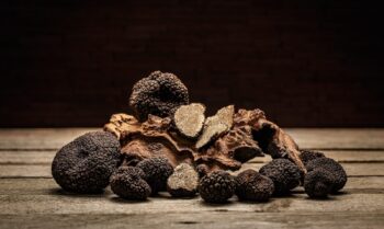 Black truffle mushroom