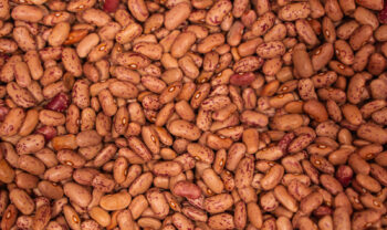 Taburno Bean Festival 2023 in Benevento mit vielen traditionellen Gerichten