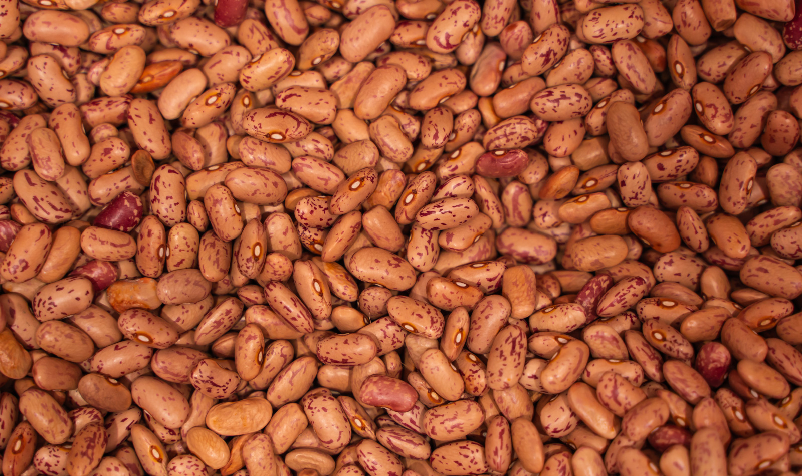 fagioli-secchi