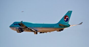 Che cos’è un Bird Strike e quali sono i periodi più a rischio?