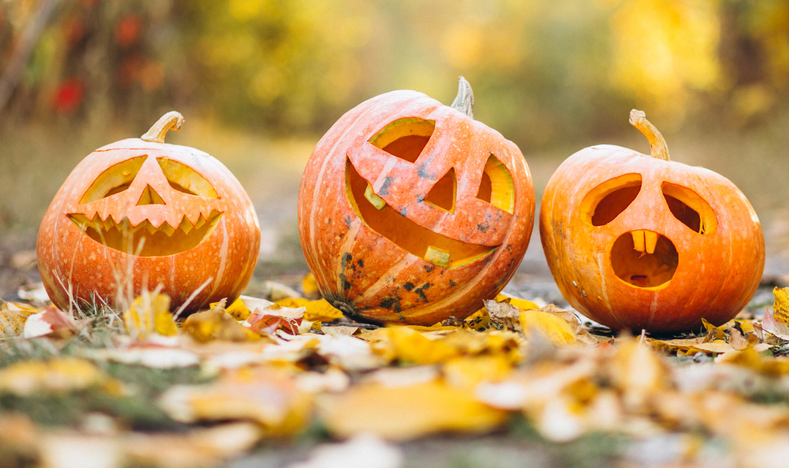 Halloween Day 2023: Date, history, significance and celebration