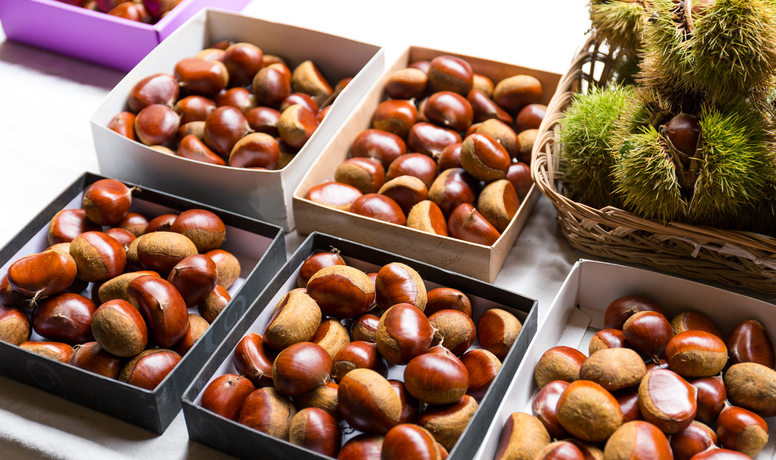 stand-castagne