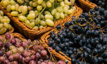 Grape Festival in Priora 2023 with harvest for children