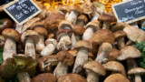 Il Gusto del Pollino 2023, sagra autunnale con funghi e castagne