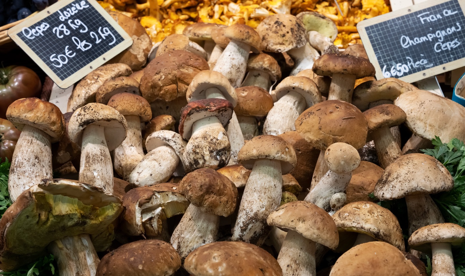 Barraca de cogumelos em um festival