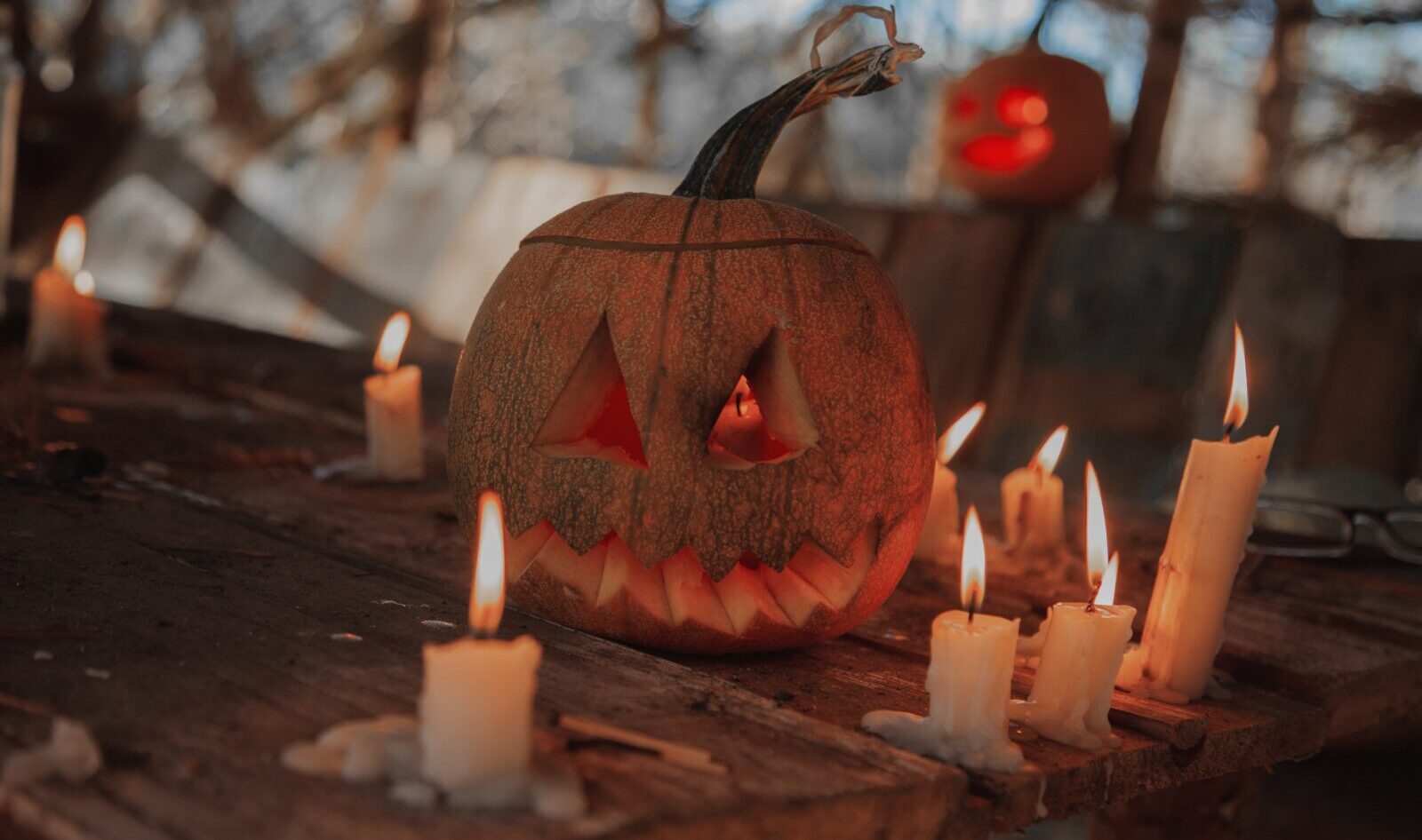 Halloween, calabaza, jack-o-lantern