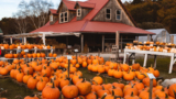 Villaggi di Halloween e zucche a Napoli e Campania 2023