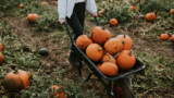 Halloween all’Orto Botanico di Napoli con il fantastico mondo delle zucche