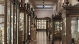 Из плоти, из воска, из костей в Анатомическом музее Неаполя: специальная экскурсия