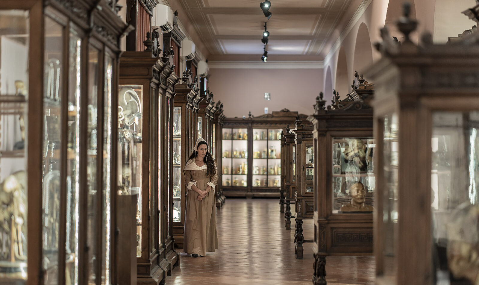 Museu de Anatomia