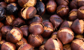roasted montella chestnuts