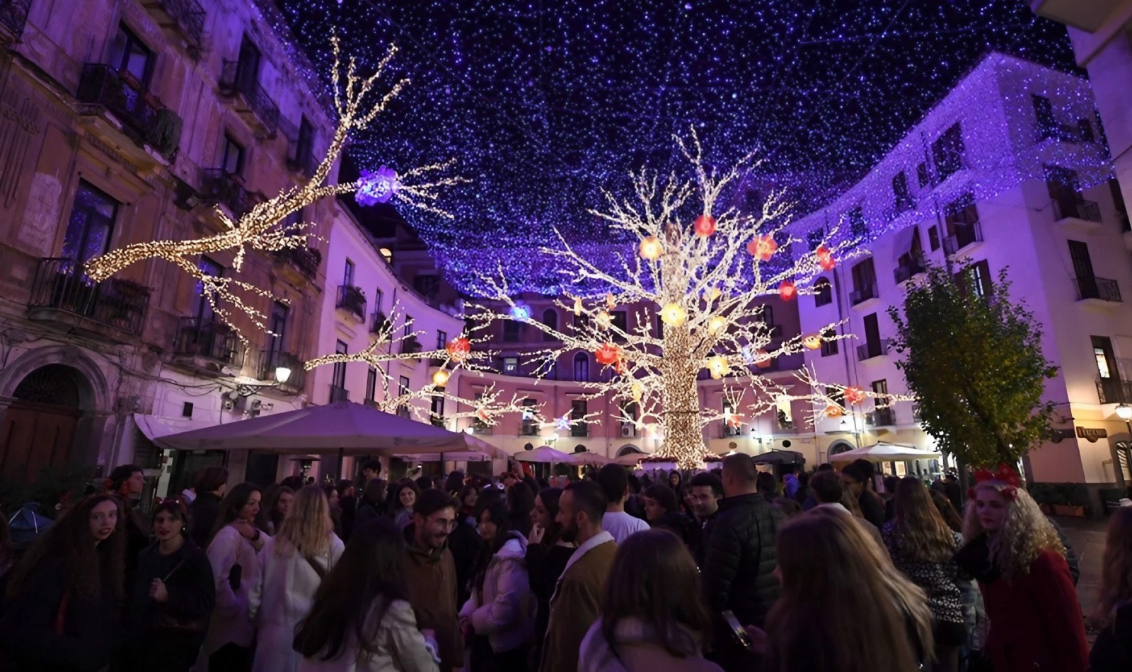 Les lumières de Salerne, un arbre lumineux