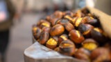 Sagre e Feste in Campania nel weekend dal 3 al 5 novembre 2023