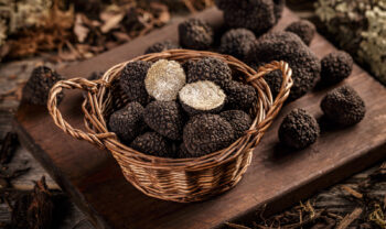 the white truffle