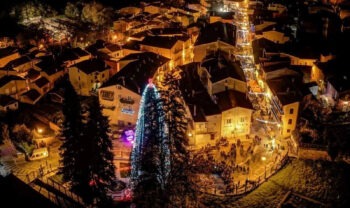 Árbol en Avellino