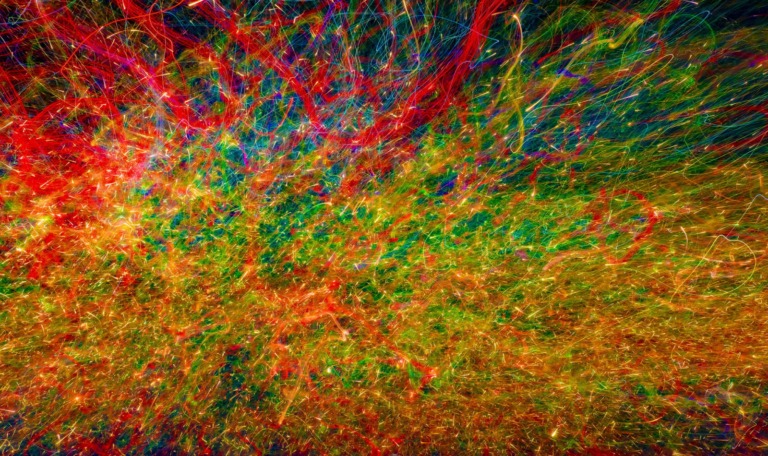 Mostre a Napoli, le migliori di arte, fotografia, scienza e cinema