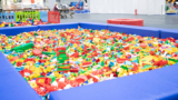 Brick Live 2024 alla Mostra d’Oltremare, i LEGO ricreano il mondo dell’Oceano