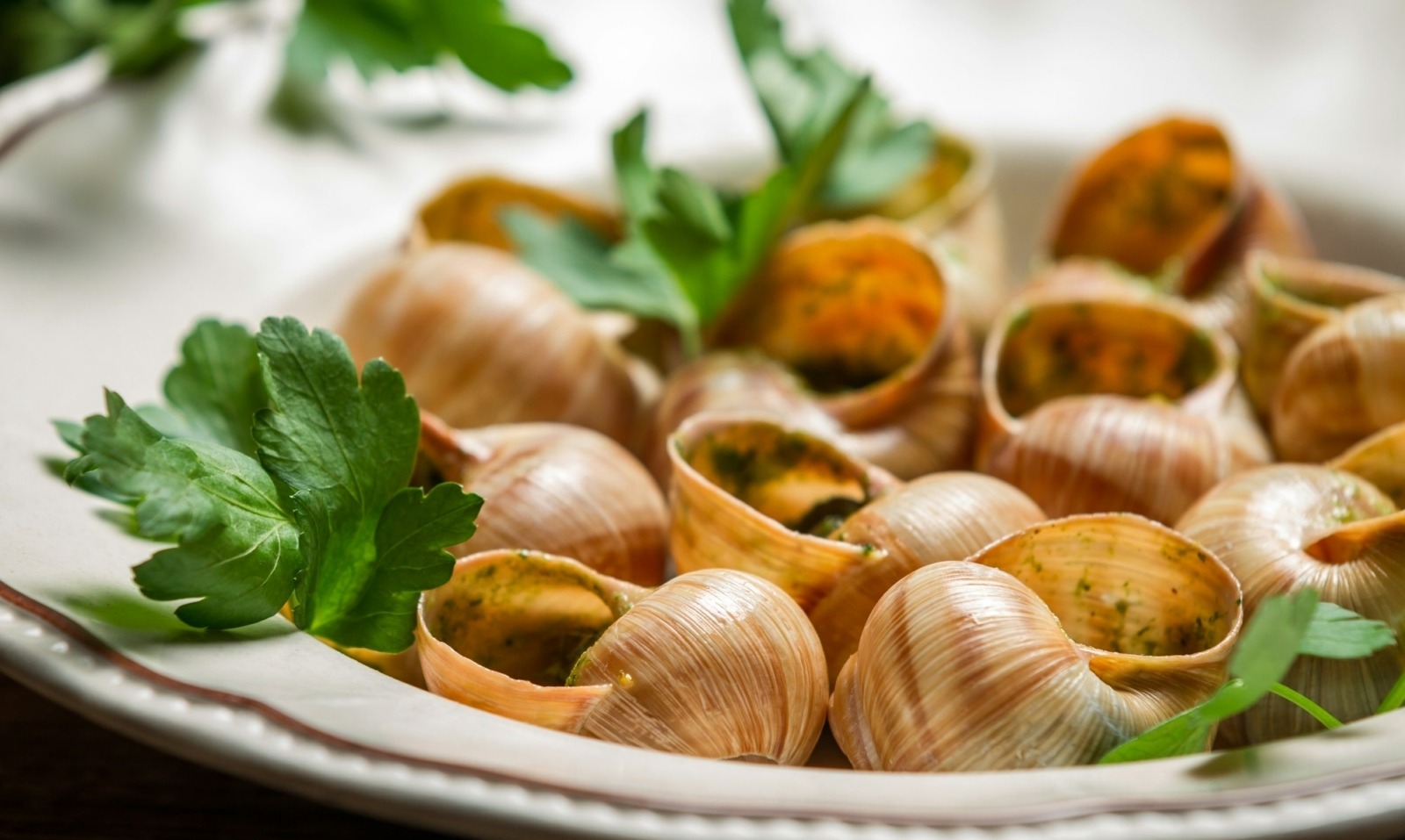 Closeup of baked snails with garlic butter