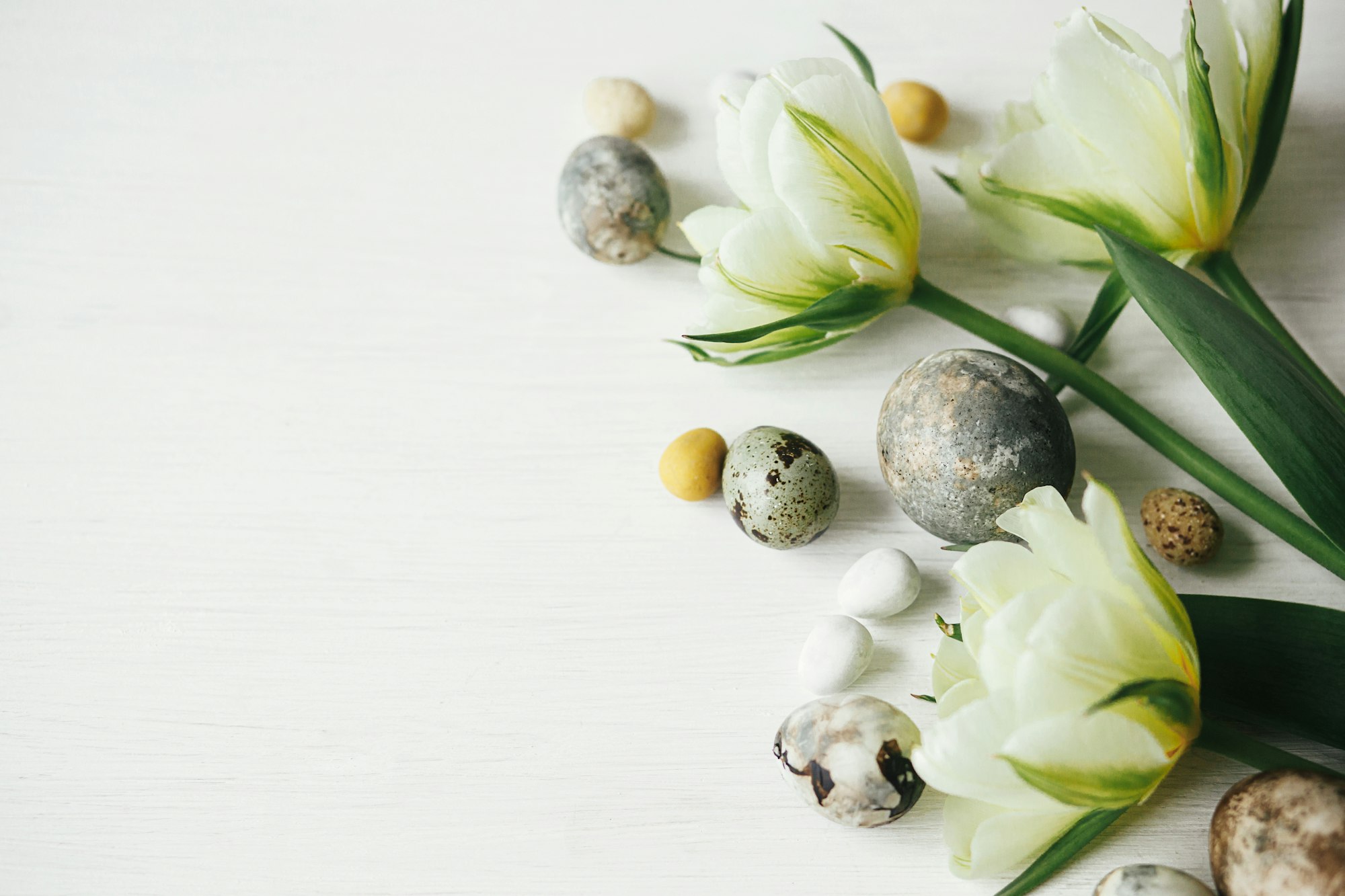 Elegantes huevos de pascua y tulipanes sobre una rústica mesa blanca. ¡Felices Pascuas! Plano de Pascua