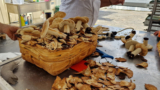 PaNeapolis, la festa del pane a Piazza Mercato