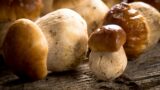 Sagra Trofie con Radicchio e Porcini a Montoro (AV)