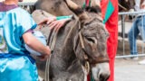 Palio del Casale 2025, la course d'ânes revient à Cicciano entre histoire et folklore