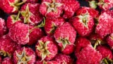 Festival de la Fresa Silvestre 2025 en Salerno. Dulces, Senderismo y Tradición.