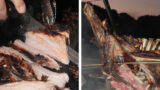 Festa del Vitello Podolico allo Spiedo, due giorni di brace e festa