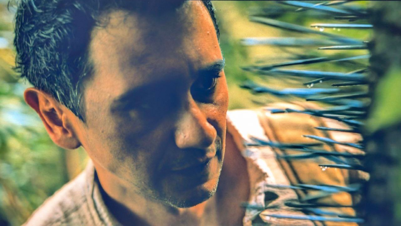 la palma chunga che abbiamo visto in pluribus