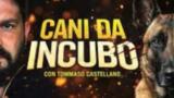 Cani da Incubo non disponibile più su Prime Video, che cosa è successo?