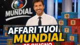 Affari Tuoi Mundial De Martino stasera Rai1
