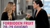 Forbidden Fruit anticipazioni 28 e 29 giugno 2026
